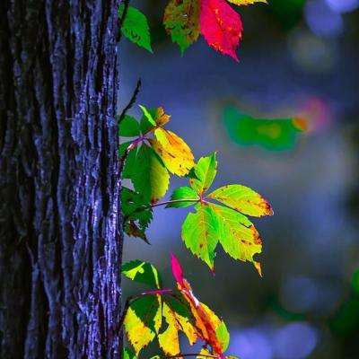 kaiyun体育全站下载手机版截图